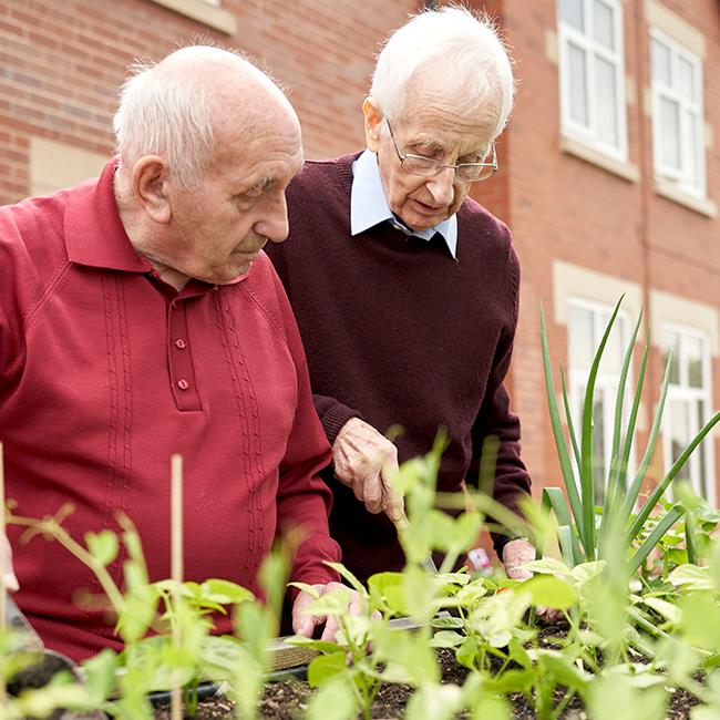 Activites - Meadowfields Care Home - Northgate Healthcare